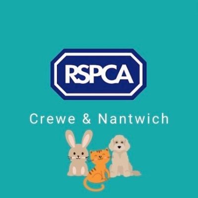 Small charity, self-funded, volunteer-run. 
Rehoming dogs and cats following RSPCA guidelines.