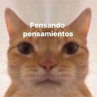 Ermoke (@ermoke1) 's Twitter Profile Photo Ermoke (@ermoke1) 's Twitter Profile Photo