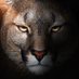 HugOlB (@ugolivar) Twitter profile photo HugOlB (@ugolivar) Twitter profile photo