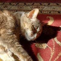 Rob C (@rob66733000) 's Twitter Profile Photo