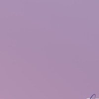 桃茶 (@mocha11423) 's Twitter Profile