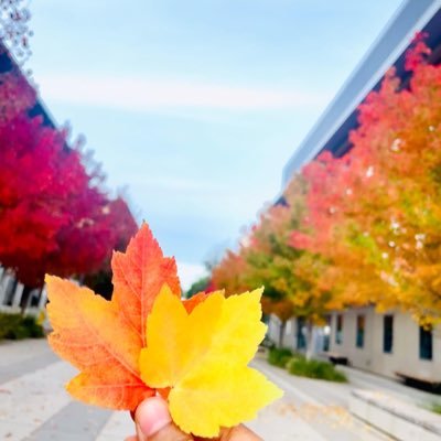 UmmayHoney13's profile picture. 