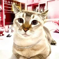 boycrypto.5irefam Tabi 🟧 (@bpondedo) 's Twitter Profile