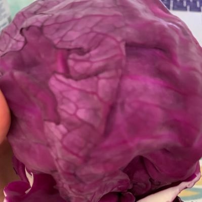 CarReinhart's profile picture. Website Registration, Hosting, Design and Development, SEO, Branding Design.