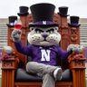 NUWildcats2003's profile picture. Here for all things @Packers, @Brewers, @Bucks, and Northwestern Wildcats (@NUFBFamily).