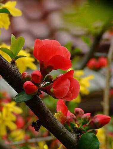 jung1410's profile picture. 민중권력쟁취 를 갈망하는 지구인