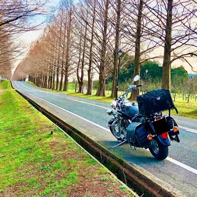 永遠の初心者 全てが中途半端