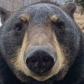 crossedbyfire's profile picture. 