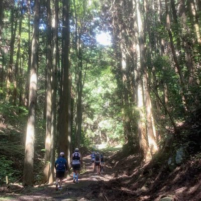 ジョギング・アジャイル始めました!(冷やし中華初めました風)どちらも初級レベルですが、少しずつレベルアップしていければと思います。宜しくお願いします🙇♂️(ほぼインプット専用です)