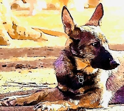 solt73solt's profile picture. 犬好き💕の垢

たまにつぶやきます
無言フォロー大歓迎✿⁠