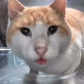 Milkさんのプロフィール画像