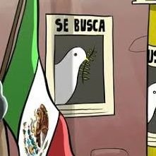 #SeBusca #LoHasVisto #TeBuscamos #México #AlertaAmber #LeHasVisto #HastaEncontrarte #desaparecido

lehasvistomx@gmail.com