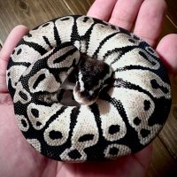 yohji (@axandg) Twitter profile photo