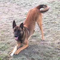 Scoutagator13@wtf (@scoutagator13) 's Twitter Profile