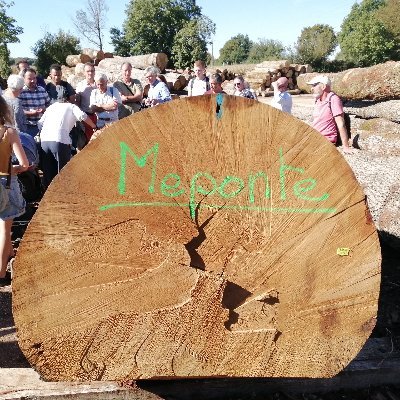 Ancien d'ARVALIS
Nouveau membre de l'INAO et exploitant forestier dans les 2 Sèvres.
Toujours fan de voitures de collection.