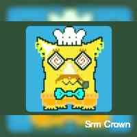 Srm Crown (@ccownrsrmr13) 's Twitter Profile