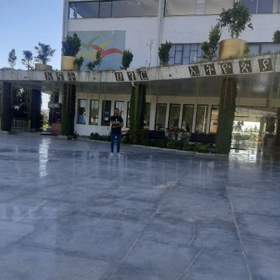 bduselam17's profile picture. human being