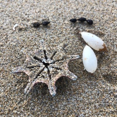 AnnaRead4's profile picture. 