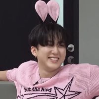 ソチャンビンの捕食者🐷💗 (@skz_cha811) 's Twitter Profile