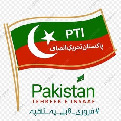 PTI Supporter