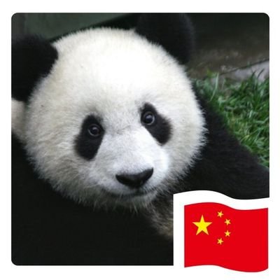 wangzijiaChina Profile Picture