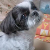 愛するミューちゃん (@jwyqlcnsu4lfav2) 's Twitter Profile Photo 愛するミューちゃん (@jwyqlcnsu4lfav2) 's Twitter Profile Photo
