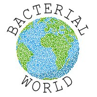 BacterialWorld(@Bacterialworld) 's Twitter Profileg