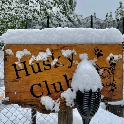 An interactive zone for in-house guests and visitors with prior appointment and approval; to interact with our pooches that have their own home adjacent to ours