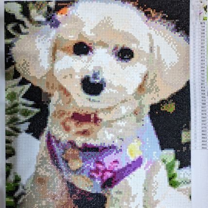 yu_ha_512's profile picture. ミロさんのピアノ🎹に癒され中🍀／最近ダイヤモンドアート💎✨にハマってます！／たくさんの方とお友達になりたい💙気軽に声かけてください🌸／無言フォロー失礼します🙇‍♀️