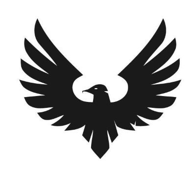 falcon_saviour Profile Picture