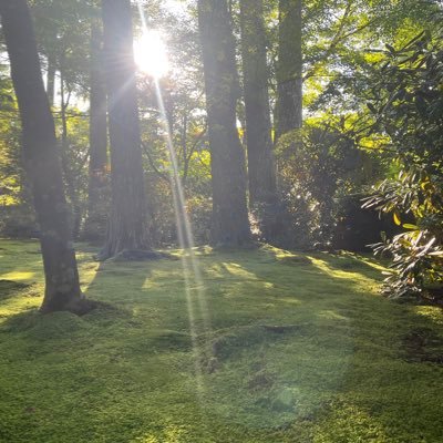 menzhealth_npo's profile picture. 様々な男性特有の疾患や悩みについて、医学的に正しい知識を広めるべく活動しています。 イベント情報→https://t.co/Sy7HGO2Rr0