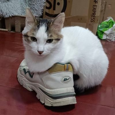 Suniさんのプロフィール画像