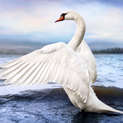 Lipkiss34's profile picture. オンラインで日本のライブ放送を視聴する方法はたくさんあります。人気のあるオプションには、ジャパンライブなどのストリーミングサービスが含まれます。o
日本のテレビ番組や映画を幅広く取り揃えています。このリンクをクリックしてお楽しみください。