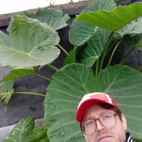 sentient gloomberg...here and there🦋 (@tironstefan) 's Twitter Profile Photo sentient gloomberg...here and there🦋 (@tironstefan) 's Twitter Profile Photo