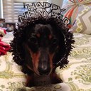 Henry Willard Hill - @TheHenryWillard - Twitter