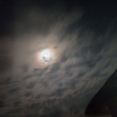 SolomonN6041's profile picture. 