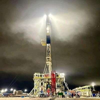 EucalyptusAAA's profile picture. sales@jnax369.com
86+13225340118