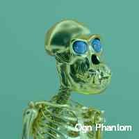 phantomoogn81's profile picture. Cryptopunk , fidenza . ringers , chromie squiggle , meebits, coolcats, pudgy penguins, artemis.