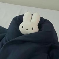 Apply (@apply251444) 's Twitter Profile