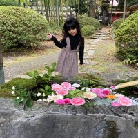まーりん (@ichigo_note15) 's Twitter Profile
