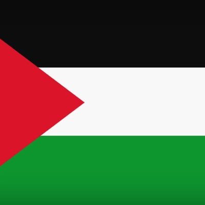 free Palestine 🇲🇾🤝🇵🇸さんのプロフィール画像