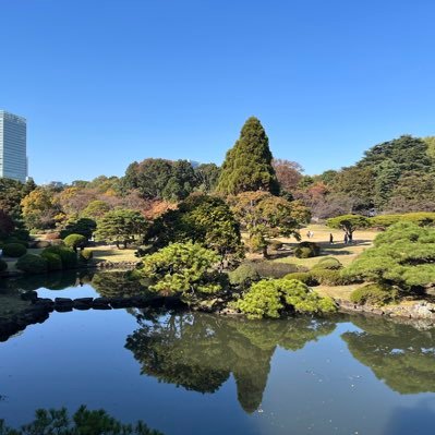 pazhanghp's profile picture. 