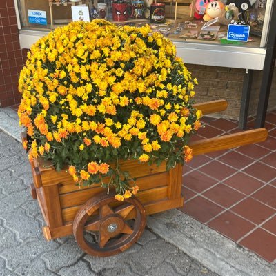 RUDDICKGIFTS's profile picture. 