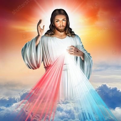 tedpalacios1's profile picture. 