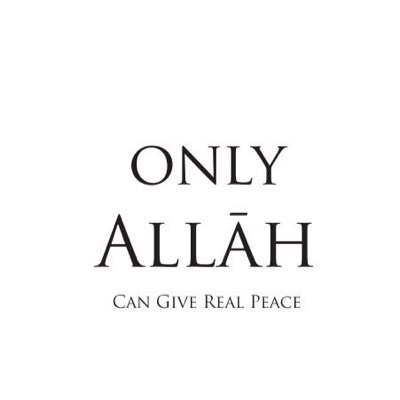 JuttJ42218980's profile picture. Allah