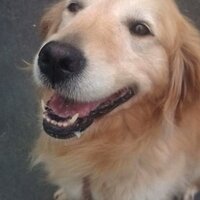 居酒屋 点 (@buddy5940) 's Twitter Profile Photo 居酒屋 点 (@buddy5940) 's Twitter Profile Photo