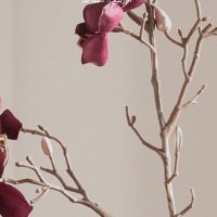 جولي🌸 (@joooollyiana) Twitter profile photo