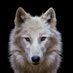 La loba esteparia (@mercero07194067) Twitter profile photo La loba esteparia (@mercero07194067) Twitter profile photo