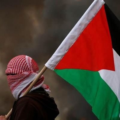 BeloCoy's profile picture. FREE PALESTINE 🇵🇸🇵🇸🇵🇸