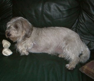 karen_lyles's profile picture. retired RN, Libra so I’m all about balance and fairness!